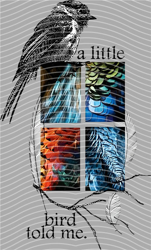 latest edition-KNY 1027